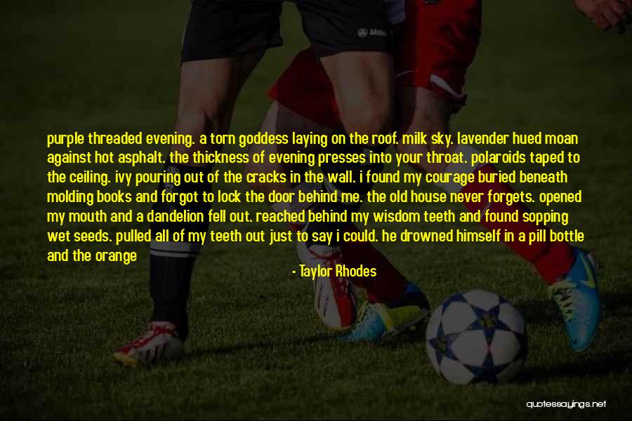 Orange Sky Quotes By Taylor Rhodes