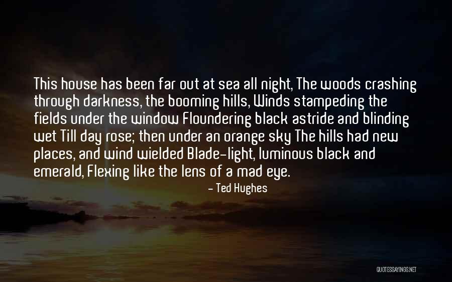 Orange Sky Quotes By Ted Hughes