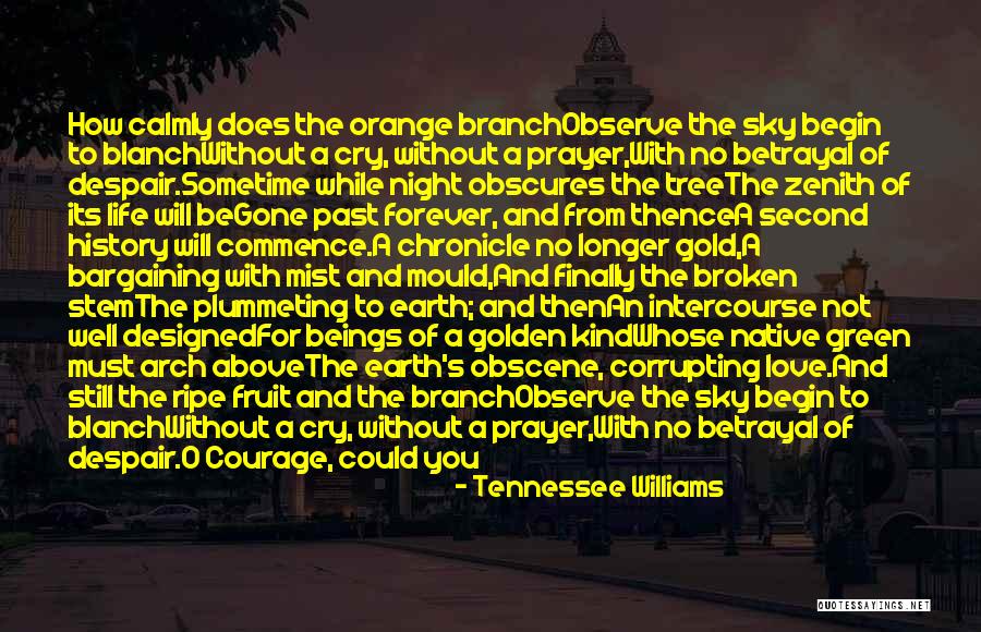 Orange Sky Quotes By Tennessee Williams