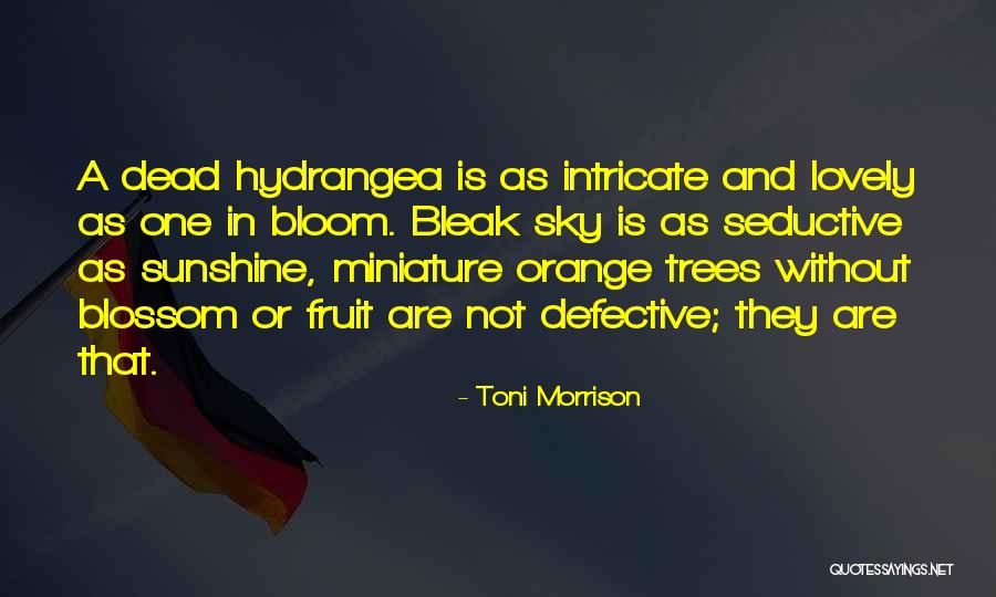 Orange Sky Quotes By Toni Morrison