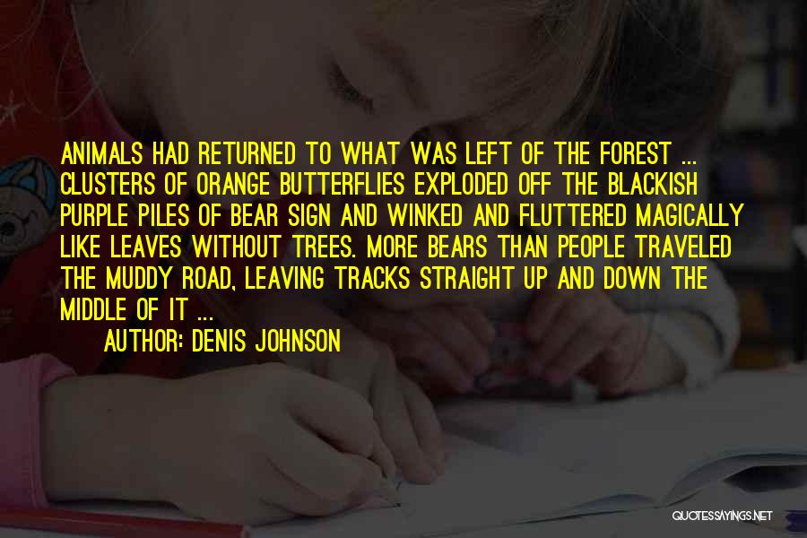 Orange Trees Quotes By Denis Johnson