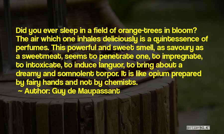 Orange Trees Quotes By Guy De Maupassant