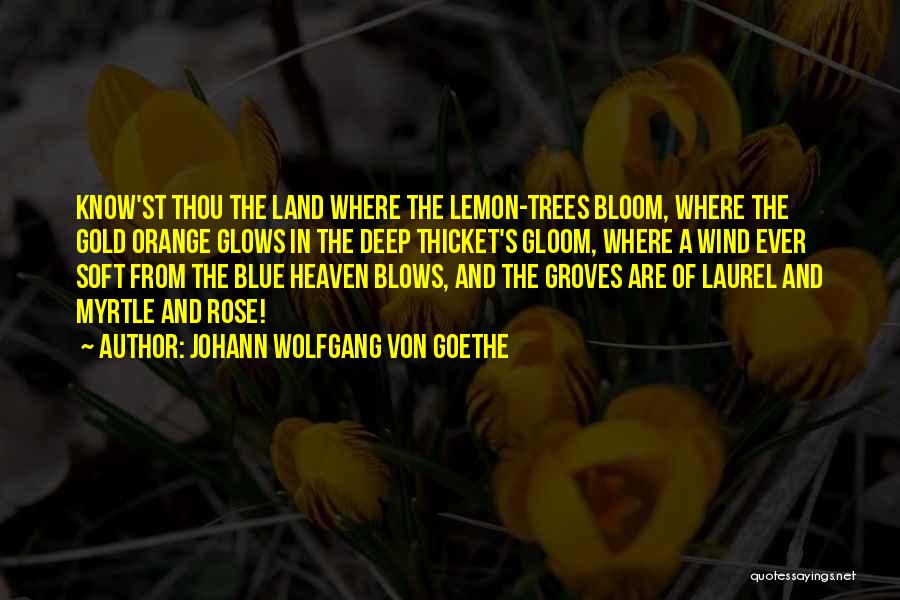 Orange Trees Quotes By Johann Wolfgang Von Goethe