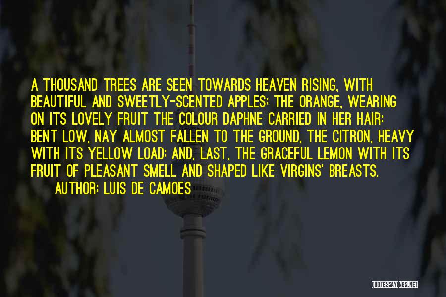 Orange Trees Quotes By Luis De Camoes