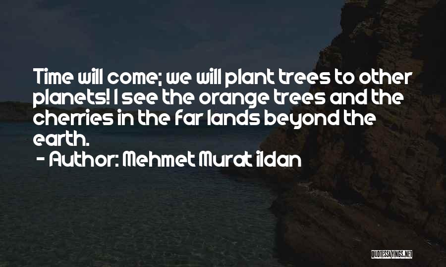 Orange Trees Quotes By Mehmet Murat Ildan