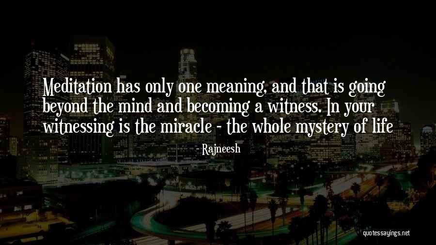 Orangeman Quotes By Rajneesh Orangeman Quotes By Rajneesh