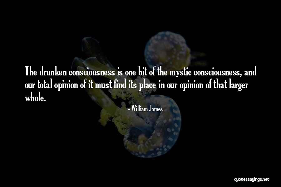 Oranjemund Quotes By William James Oranjemund Quotes By William James