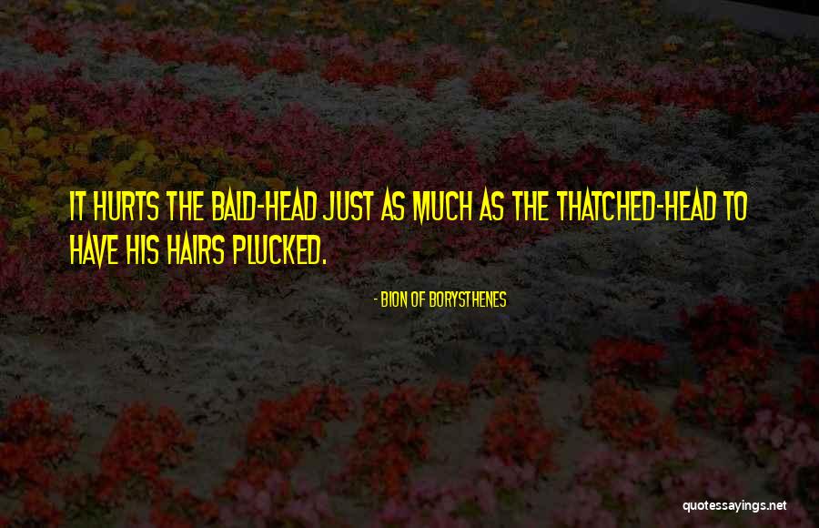 Orasele Quotes By Bion Of Borysthenes Orasele Quotes By Bion Of Borysthenes