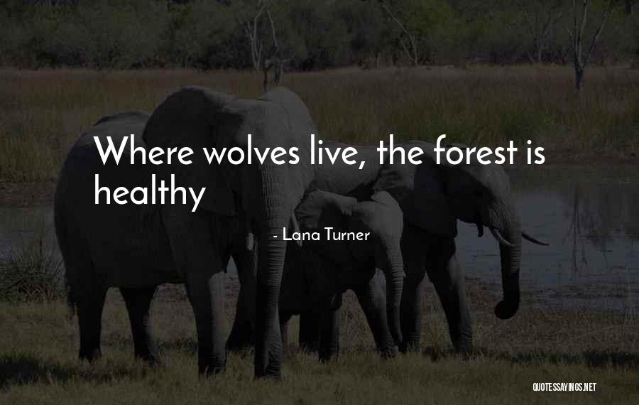 Orbeck Memorial Scholarship Quotes By Lana Turner Orbeck Memorial Scholarship Quotes By Lana Turner