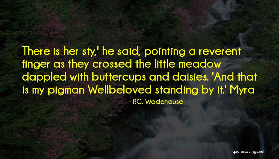 Orbem Pecunia Quotes By P.G. Wodehouse Orbem Pecunia Quotes By P.G. Wodehouse