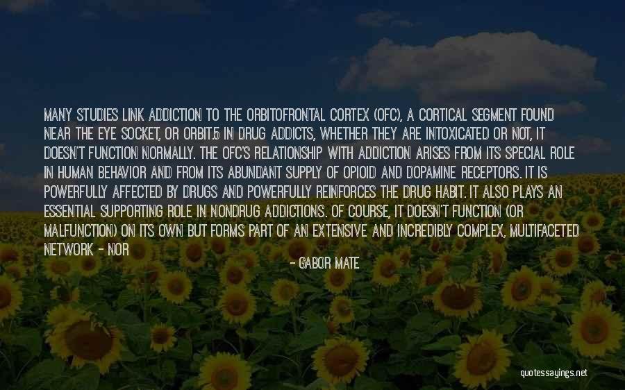 Orbitofrontal Cortex Quotes By Gabor Mate Orbitofrontal Cortex Quotes By Gabor Mate