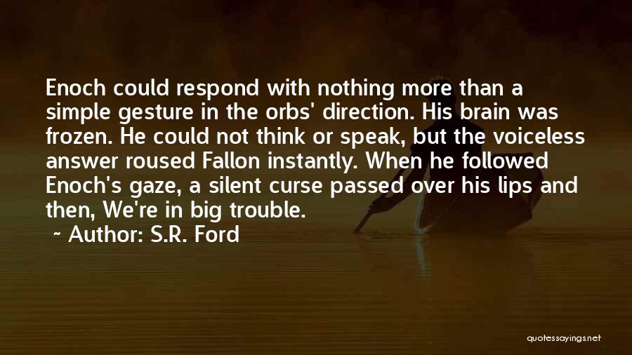 Orbs Quotes By S.R. Ford