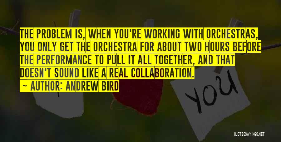 Orchestras Quotes By Andrew Bird