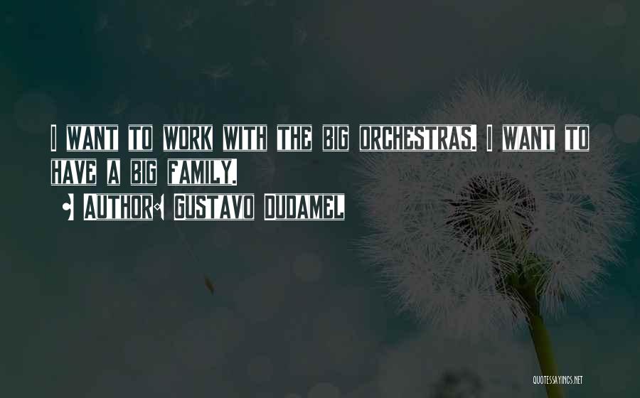 Orchestras Quotes By Gustavo Dudamel