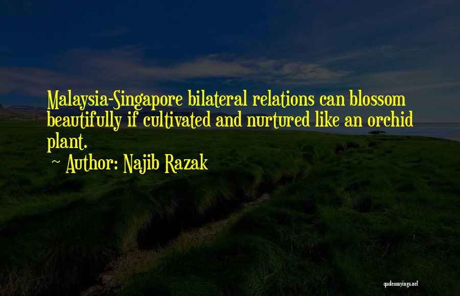 Orchid Blossom Quotes By Najib Razak