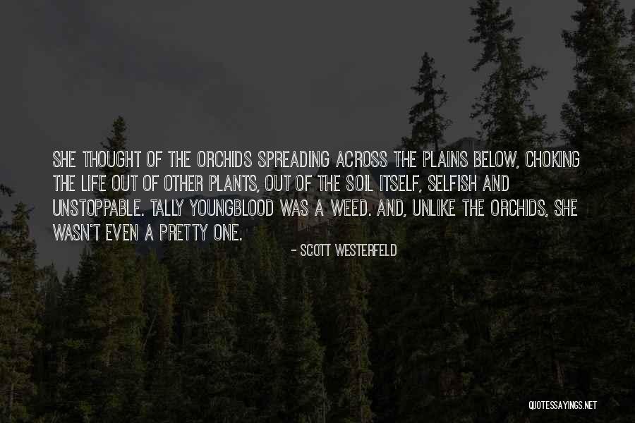 Orchids Plants Quotes By Scott Westerfeld Orchids Plants Quotes By Scott Westerfeld