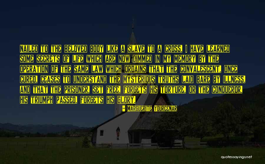 Ordains Quotes By Marguerite Yourcenar Ordains Quotes By Marguerite Yourcenar