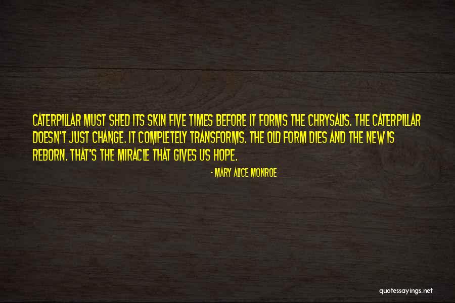 Ordem Advogados Quotes By Mary Alice Monroe Ordem Advogados Quotes By Mary Alice Monroe