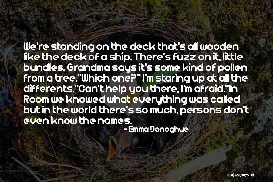 Ordenar Palabras Quotes By Emma Donoghue Ordenar Palabras Quotes By Emma Donoghue