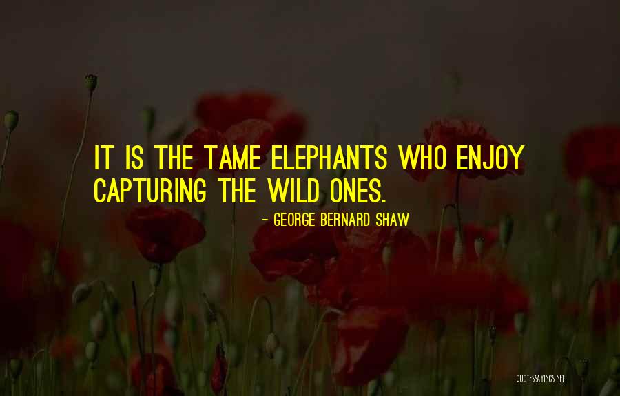 Ordenes De Compra Quotes By George Bernard Shaw Ordenes De Compra Quotes By George Bernard Shaw
