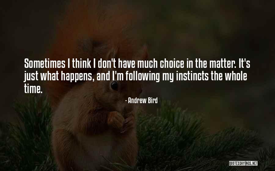 Order And Chaos Hamlet Quotes By Andrew Bird Order And Chaos Hamlet Quotes By Andrew Bird