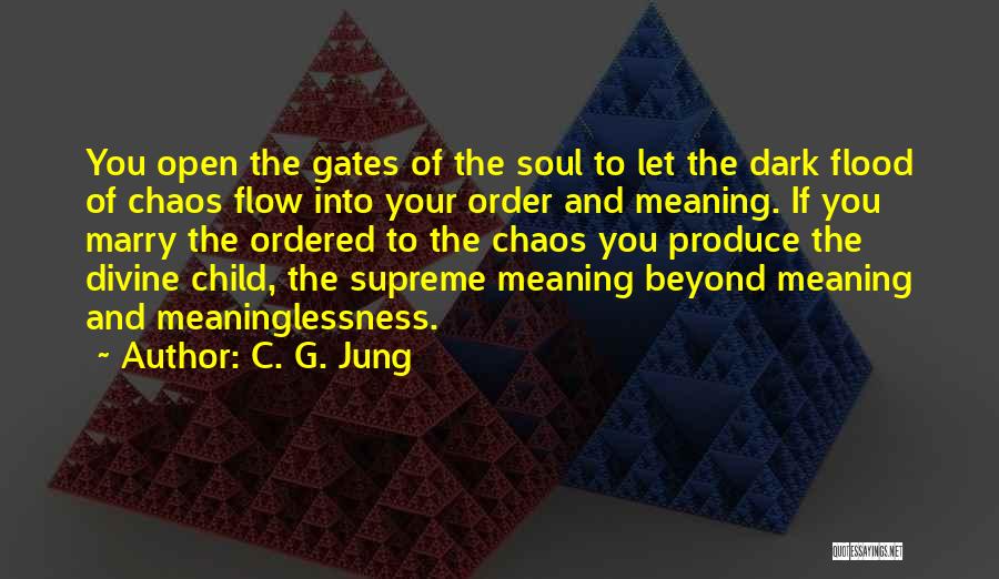 Order And Chaos Quotes By C. G. Jung