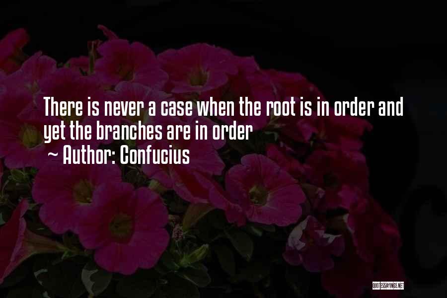 Order And Chaos Quotes By Confucius