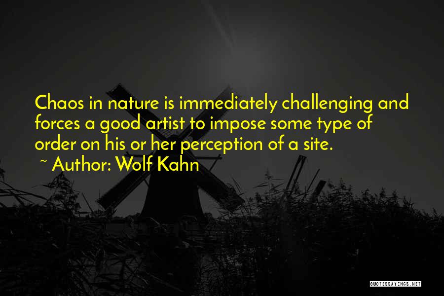 Order And Chaos Quotes By Wolf Kahn