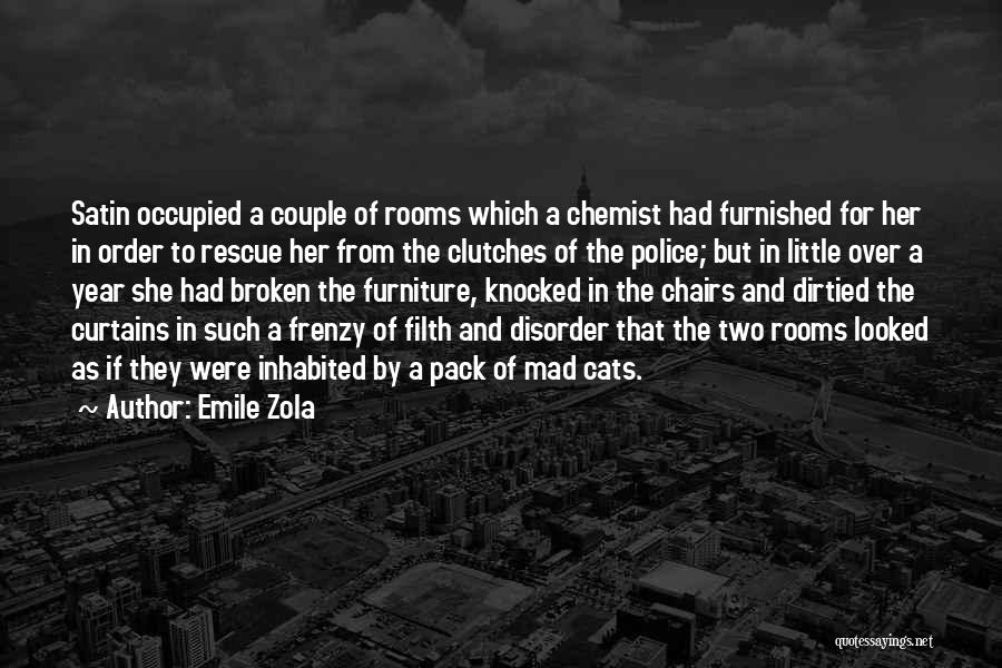 Order And Disorder Quotes By Emile Zola