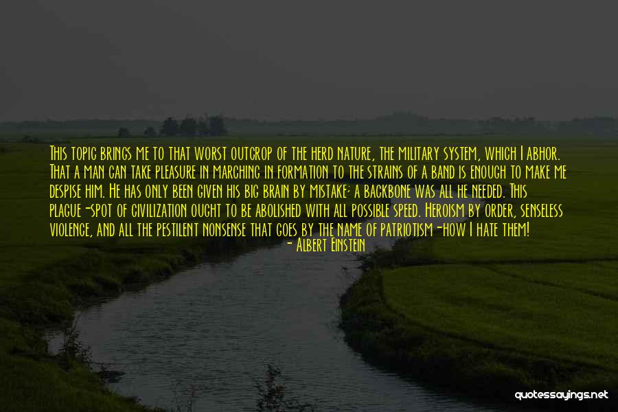 Order In Nature Quotes By Albert Einstein