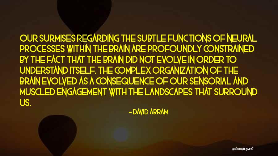 Order In Nature Quotes By David Abram