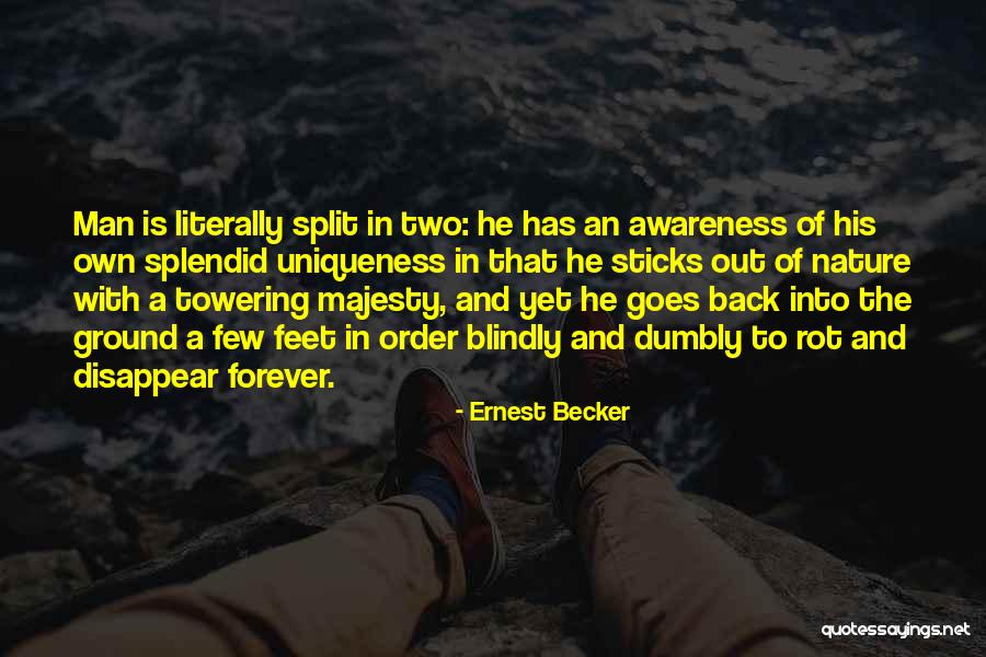 Order In Nature Quotes By Ernest Becker Order In Nature Quotes By Ernest Becker