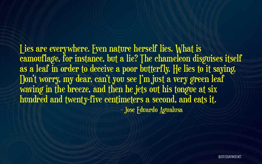 Order In Nature Quotes By Jose Eduardo Agualusa Order In Nature Quotes By Jose Eduardo Agualusa