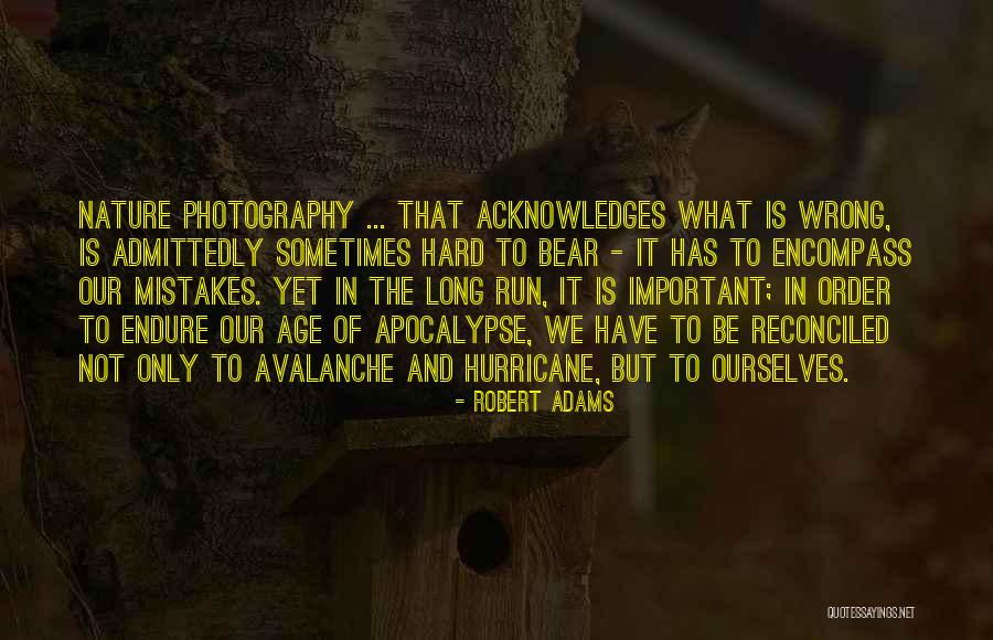 Order In Nature Quotes By Robert Adams