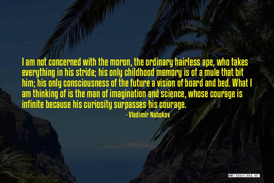 Ordinary Courage Quotes By Vladimir Nabokov Ordinary Courage Quotes By Vladimir Nabokov