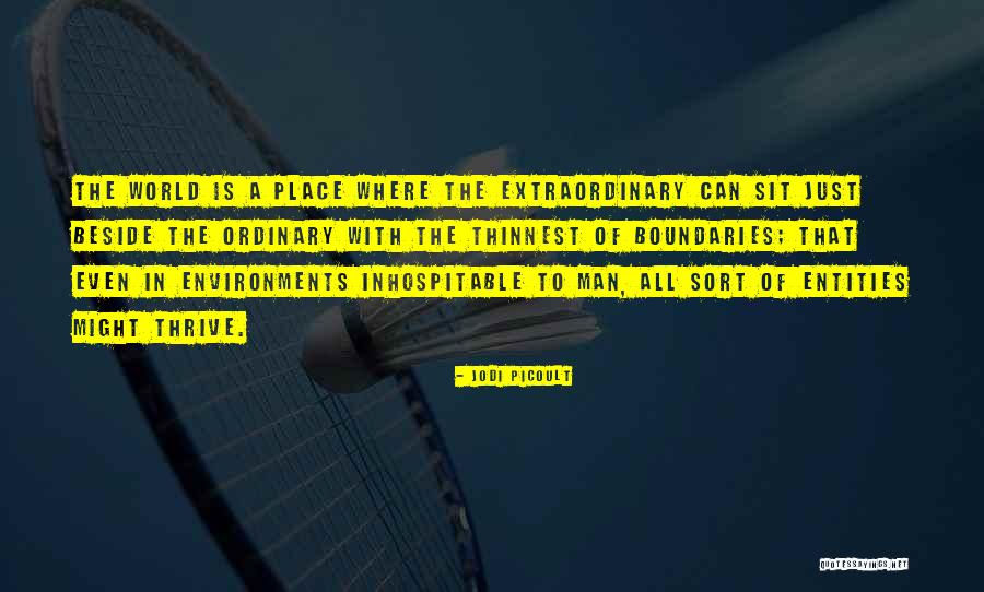 Ordinary To Extraordinary Quotes By Jodi Picoult Ordinary To Extraordinary Quotes By Jodi Picoult