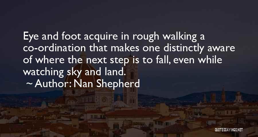 Ordination Quotes By Nan Shepherd