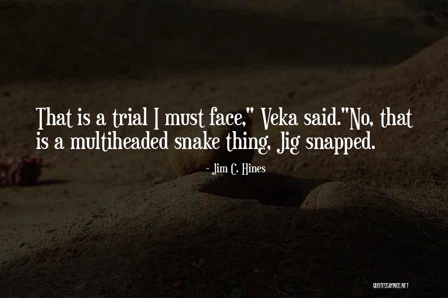 Orear Significado Quotes By Jim C. Hines Orear Significado Quotes By Jim C. Hines