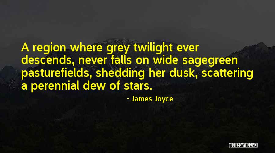 Orecchio Pasta Quotes By James Joyce Orecchio Pasta Quotes By James Joyce