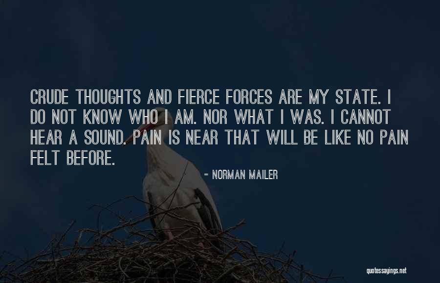 Oregonunemplo Quotes By Norman Mailer Oregonunemplo Quotes By Norman Mailer