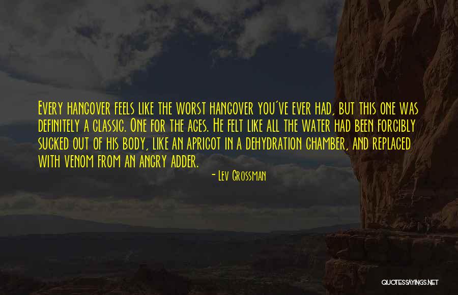 Orelio Minecraft Quotes By Lev Grossman Orelio Minecraft Quotes By Lev Grossman
