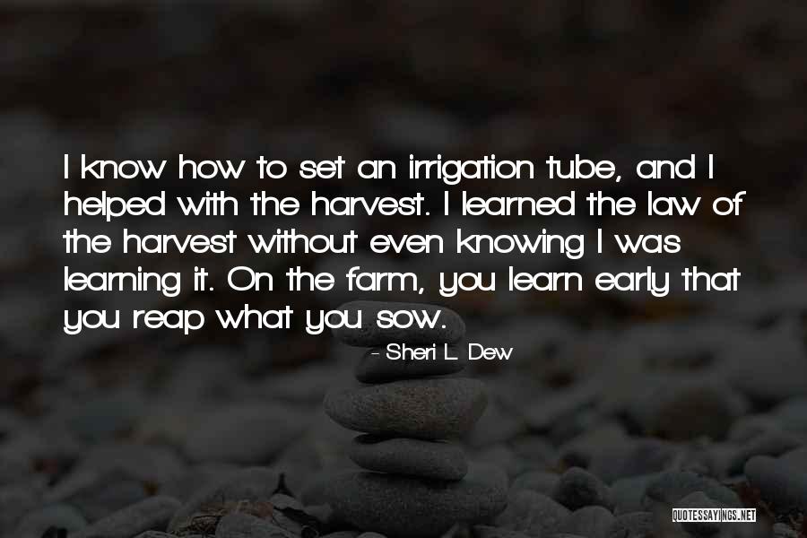 Orestes Quotes By Sheri L. Dew Orestes Quotes By Sheri L. Dew