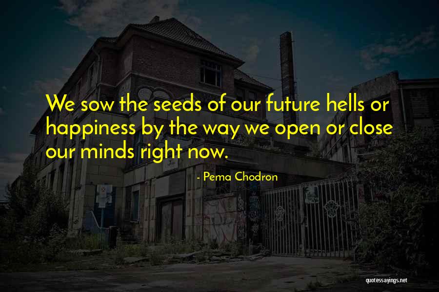 Organic And Pure Quotes By Pema Chodron Organic And Pure Quotes By Pema Chodron