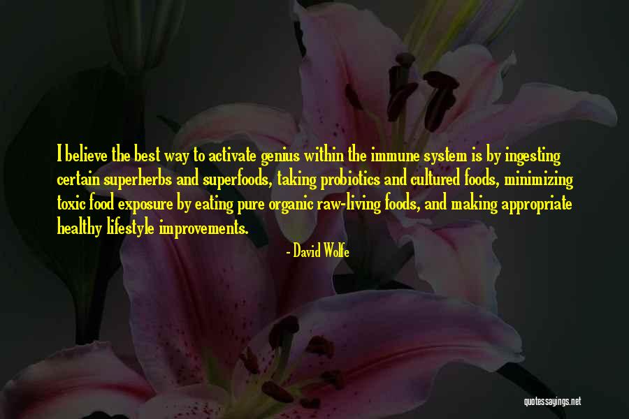 Organic Foods Quotes By David Wolfe Organic Foods Quotes By David Wolfe