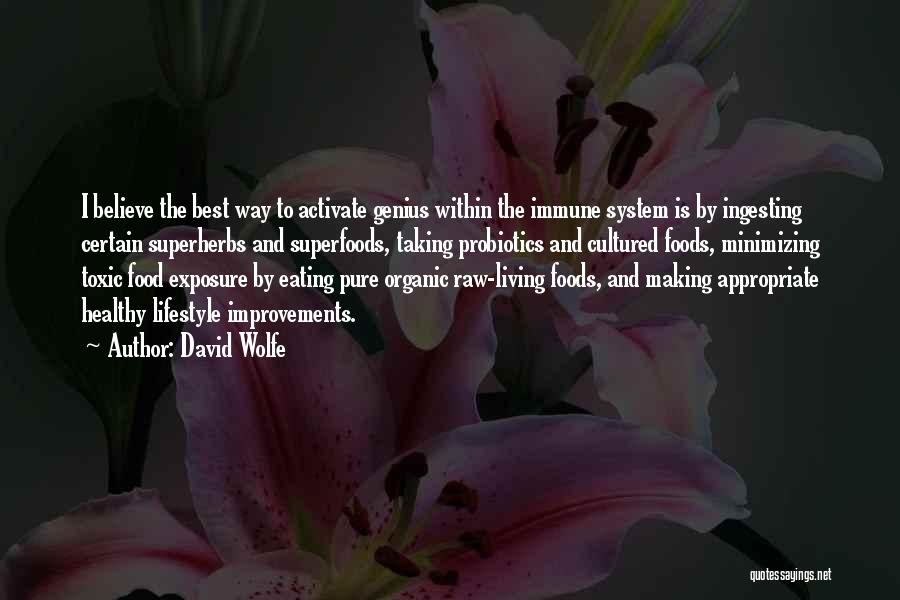 Organic Lifestyle Quotes By David Wolfe