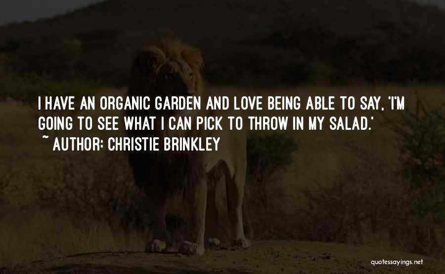 Organic Love Quotes By Christie Brinkley