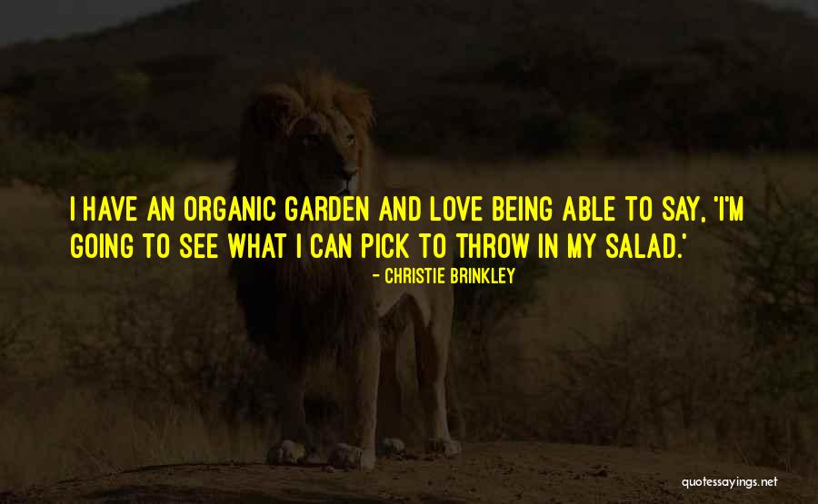 Organic Quotes By Christie Brinkley Organic Quotes By Christie Brinkley