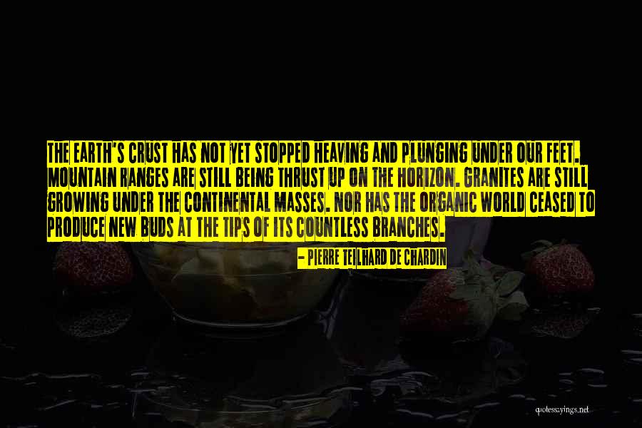 Organic Quotes By Pierre Teilhard De Chardin Organic Quotes By Pierre Teilhard De Chardin
