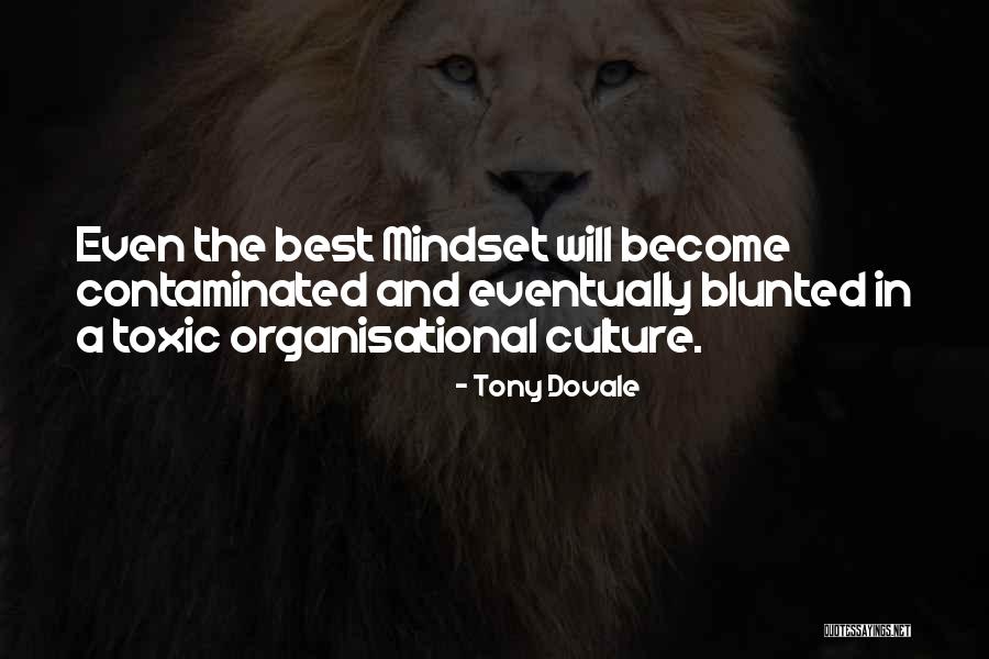 Organisational Change Quotes By Tony Dovale