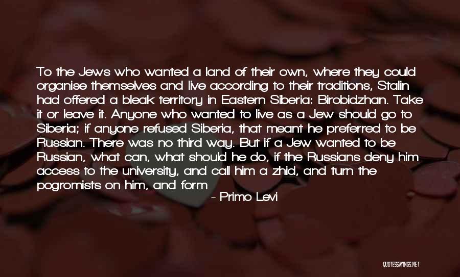 Organise Quotes By Primo Levi